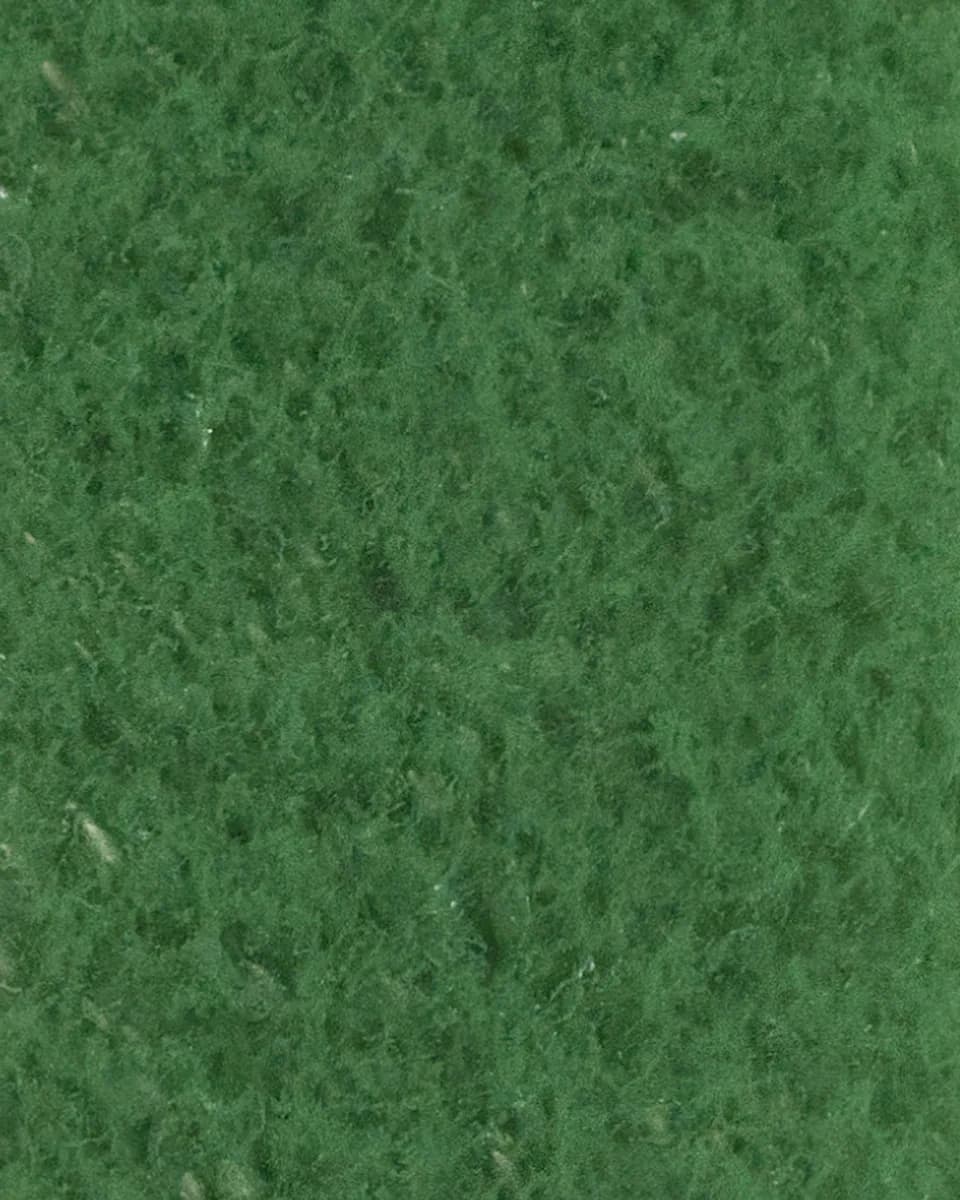 FANTOPLAST | Ivy | Pigment Series